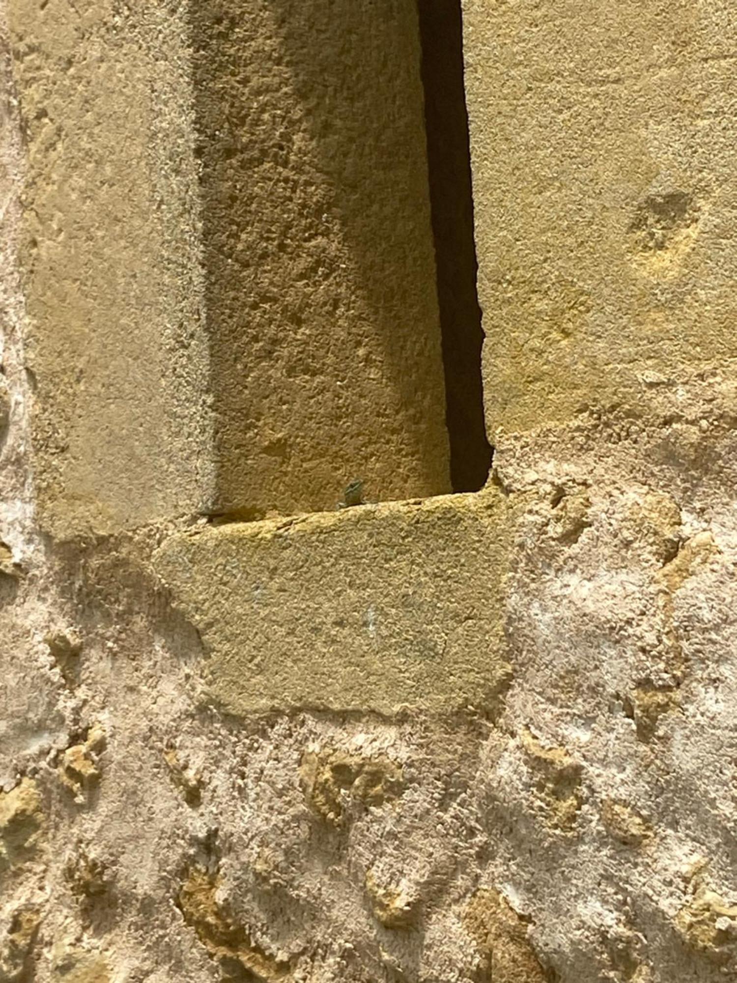 La Grange De Garac Ξενοδοχείο Saint-Christaud  Εξωτερικό φωτογραφία